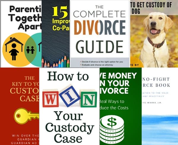 Brette Sember divorce and custody books