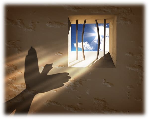 Concept of freedom when leaving an abusive husband and escaping the prison of controlling behavior hand shadow of bird escaping a window with bars